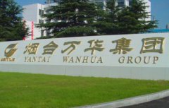 烟台万华集团