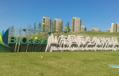 山东国际生物科技园